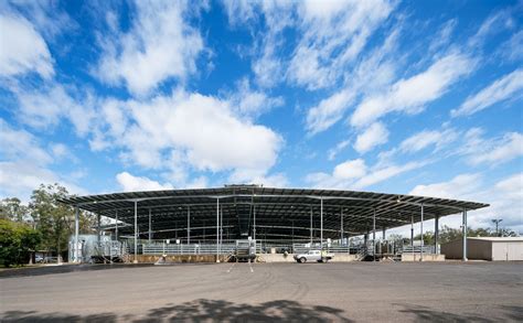 casino saleyards nsw.